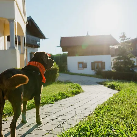 Gemuetliches Mit Terrasse Im Vital Camp Hébergement de vacances Bayerbach